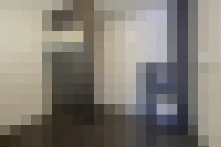 Rozenpad 8 Hoeven thumbnail 22