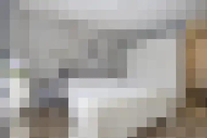 Rozenpad 8 Hoeven foto 3