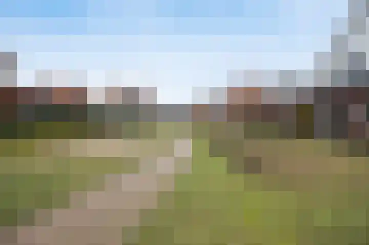 Rozenpad 8 Hoeven thumbnail 39
