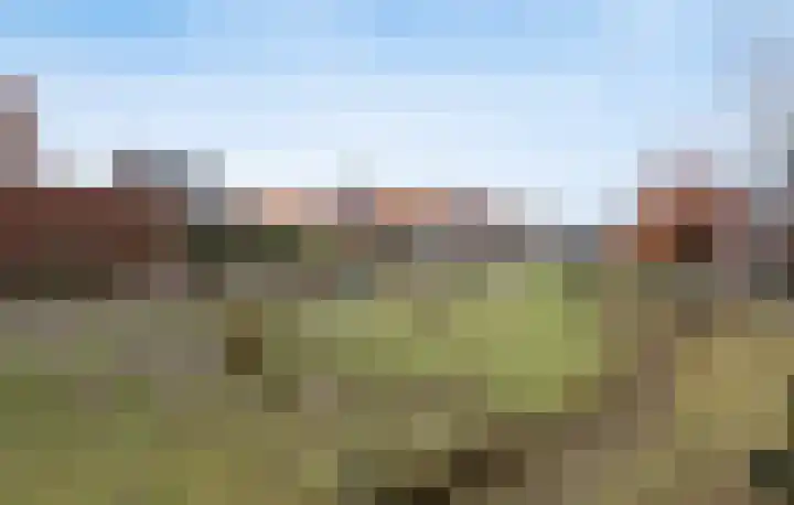 Rozenpad 8 Hoeven thumbnail 41