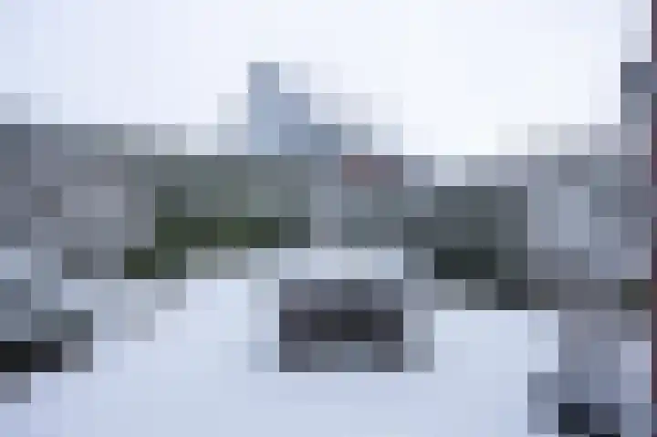 Rozenpad 8 Hoeven thumbnail 42
