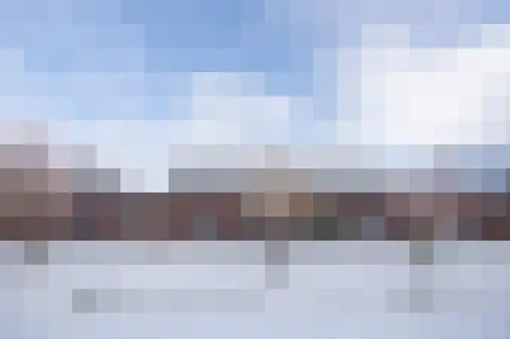 Rozenpad 8 Hoeven thumbnail 45