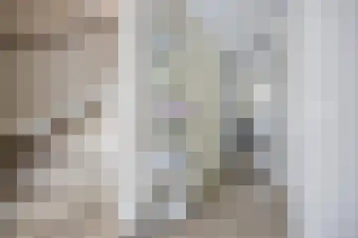 Rozenpad 8 Hoeven thumbnail 6