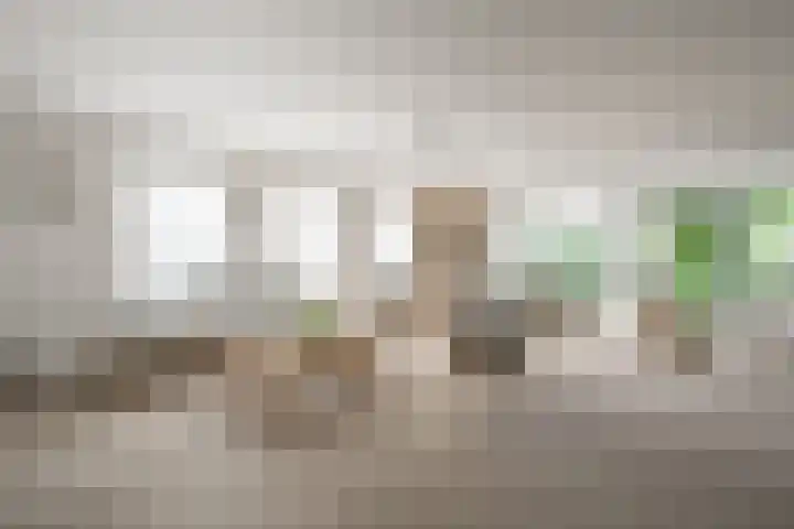 Rozenpas 1 a Kilder thumbnail 10