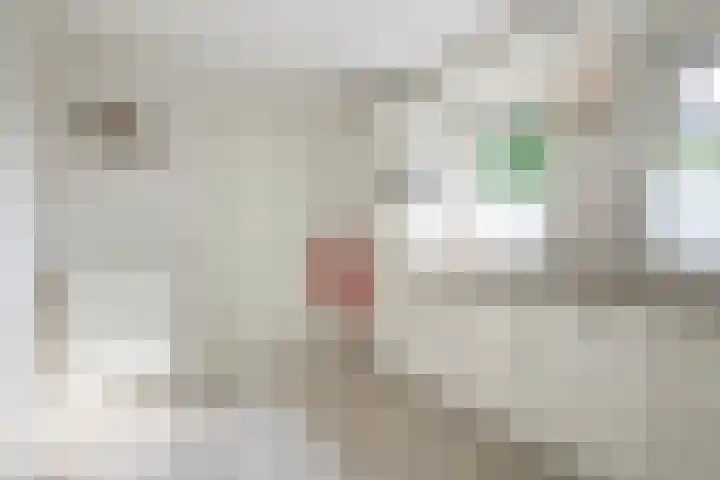 Rozenpas 1 a Kilder thumbnail 17