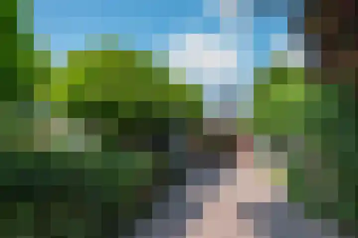 Rozenpas 1 a Kilder thumbnail 39