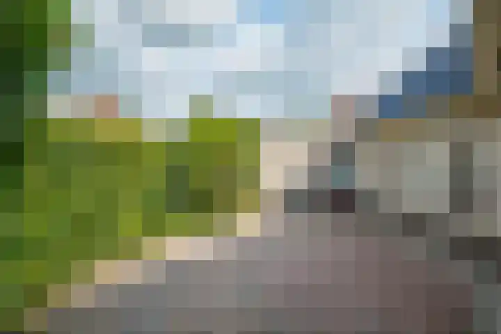 Rozenpas 1 a Kilder thumbnail 42