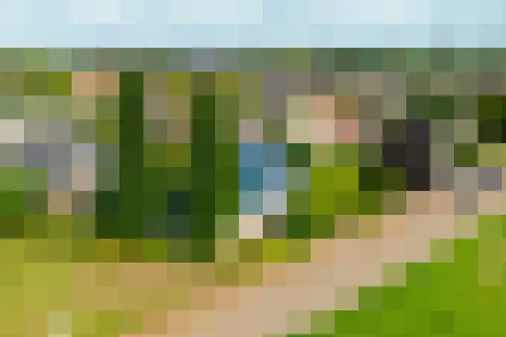 Rozenpas 1 a Kilder thumbnail 45