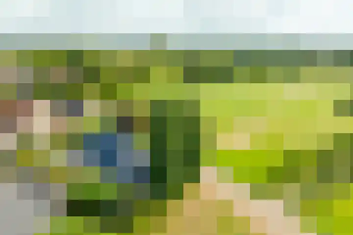 Rozenpas 1 a Kilder thumbnail 6
