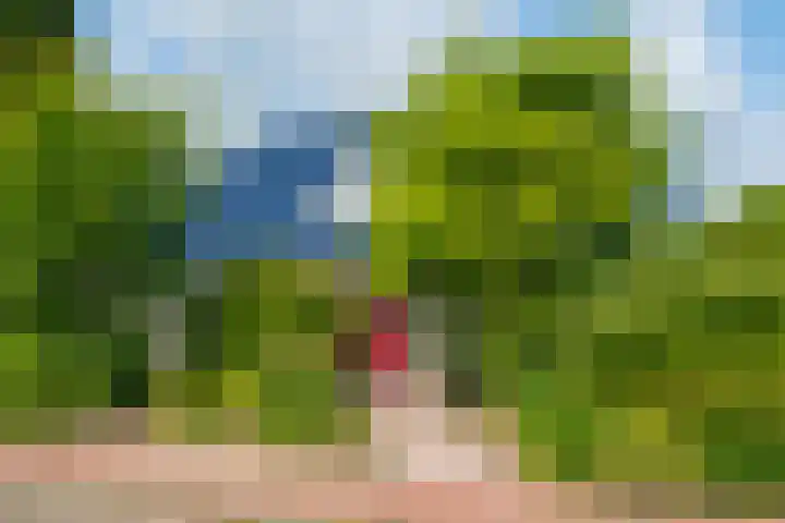 Rozenpas 1 a Kilder thumbnail 7