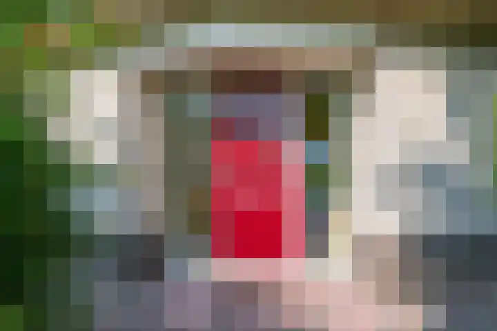Rozenpas 1 a Kilder thumbnail 8