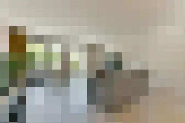 Rozensingel 29 Woudenberg thumbnail 10