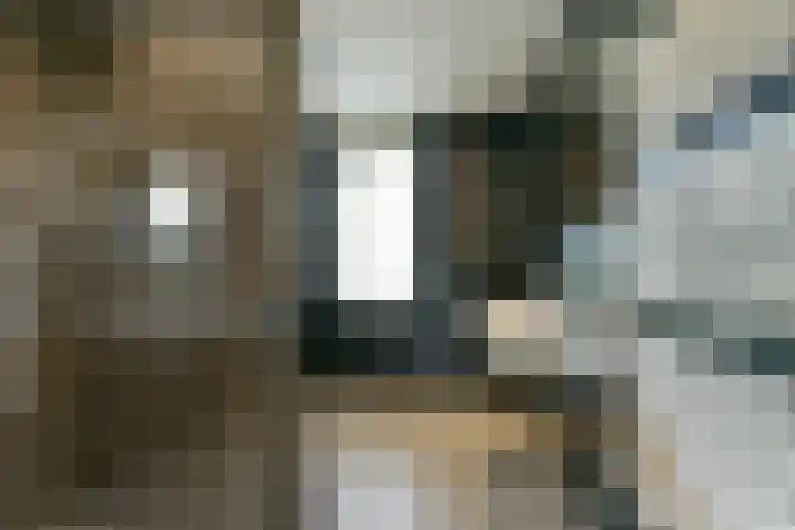 Rozensingel 29 Woudenberg thumbnail 4