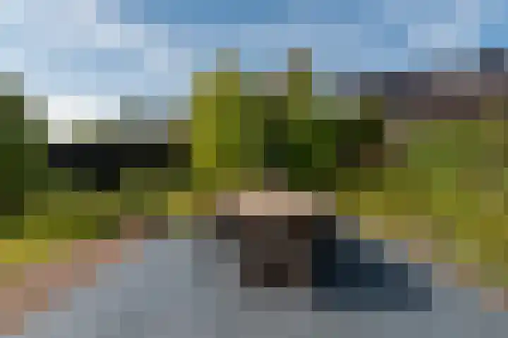 Rozensingel 29 Woudenberg thumbnail 43