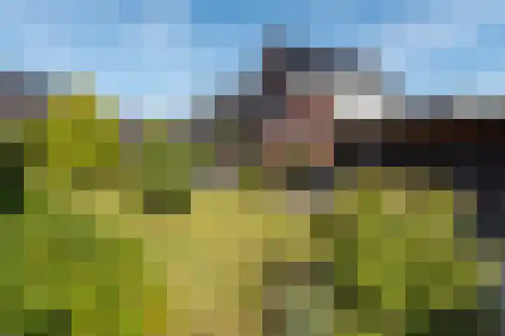 Rozensingel 29 Woudenberg thumbnail 5