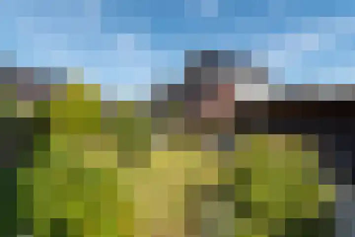 Rozensingel 29 Woudenberg thumbnail 50