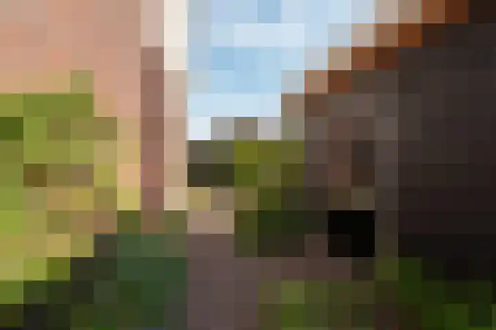 Rozensingel 29 Woudenberg thumbnail 51
