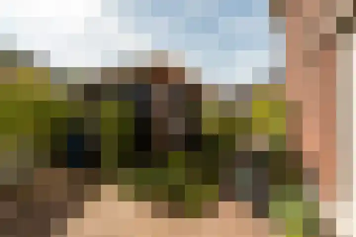 Rozensingel 29 Woudenberg thumbnail 53