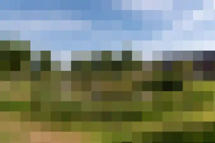 Rozensingel 29 Woudenberg thumbnail 55