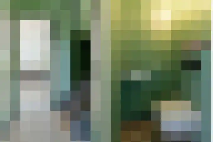 Rozensingel 29 Woudenberg thumbnail 8
