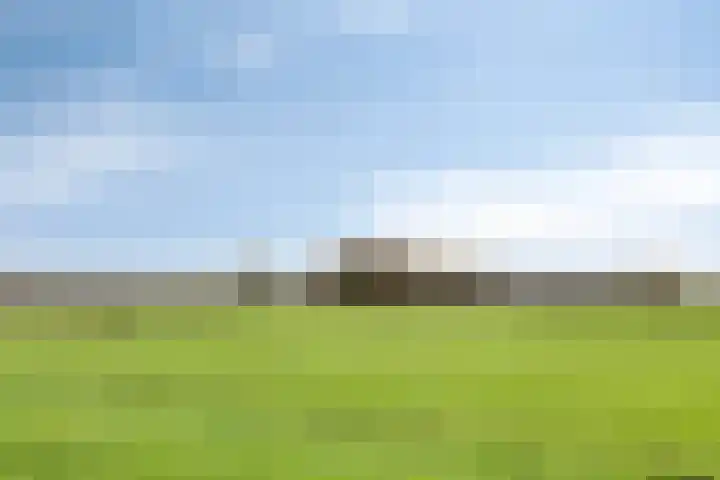 Rozenstraat 1 a Dodewaard thumbnail 32