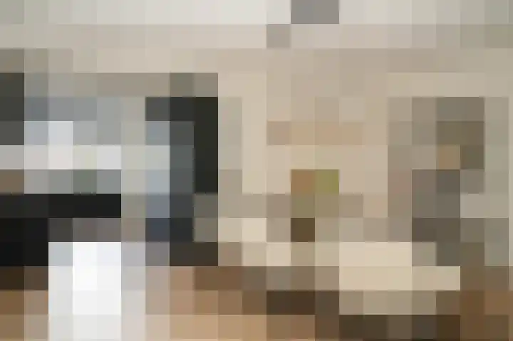 Rozenstraat 1 b Dodewaard thumbnail 10