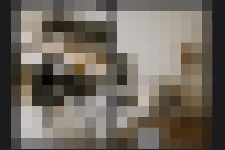 Rozenstraat 1 b Dodewaard thumbnail 7