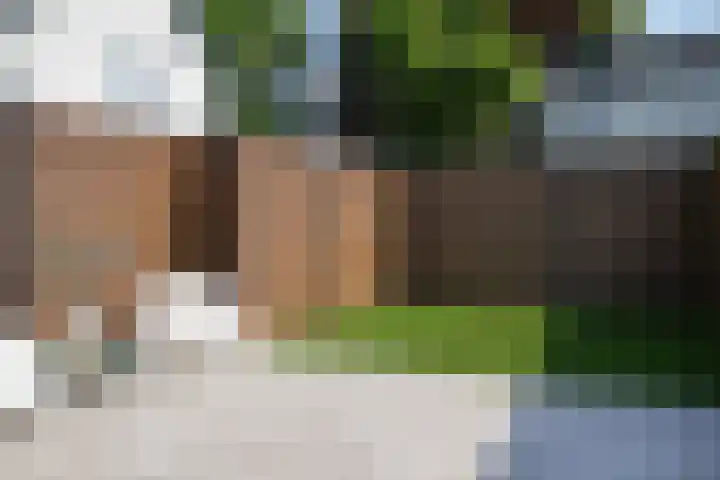 Rozenstraat 1 c Dodewaard thumbnail 27