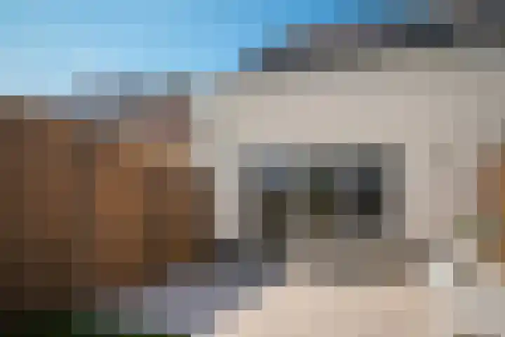 Rozenstraat 1 c Dodewaard thumbnail 28