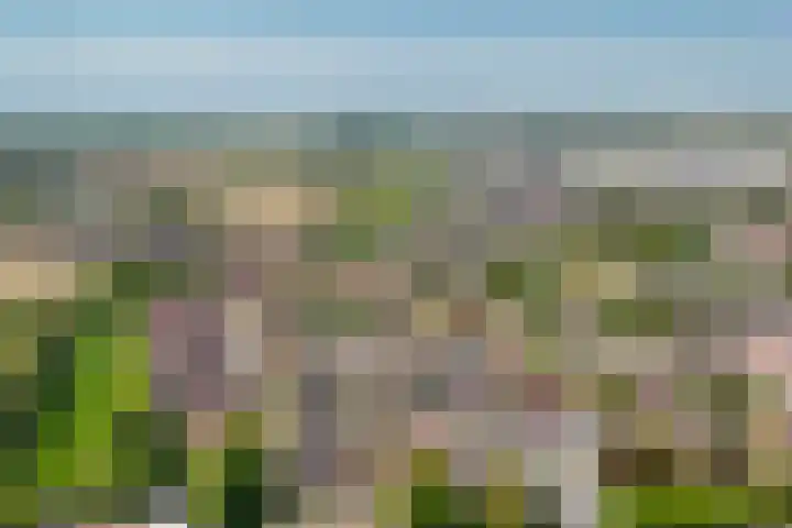 Rozenstraat 1 c Dodewaard thumbnail 36