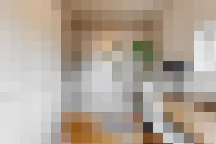 Rozenstraat 1 Purmerend thumbnail 18