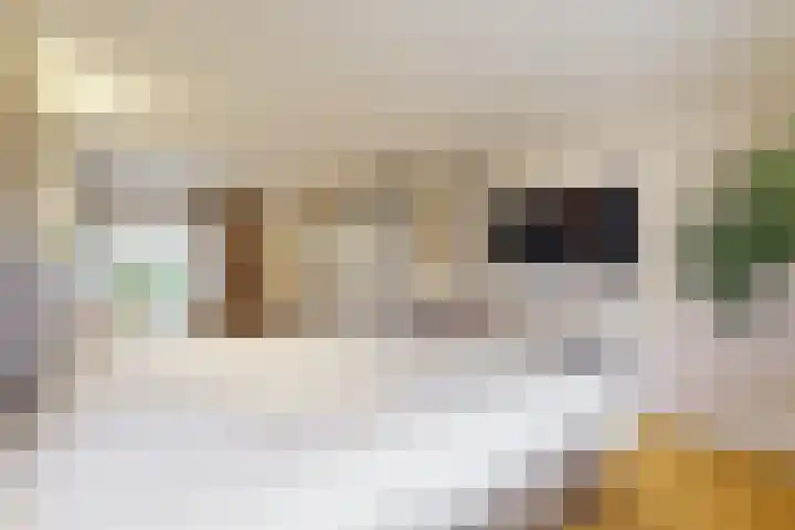 Rozenstraat 1 Purmerend thumbnail 25