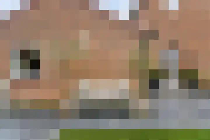 Rozenstraat 1 Purmerend thumbnail 46