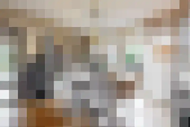 Rozenstraat 1 Purmerend thumbnail 9