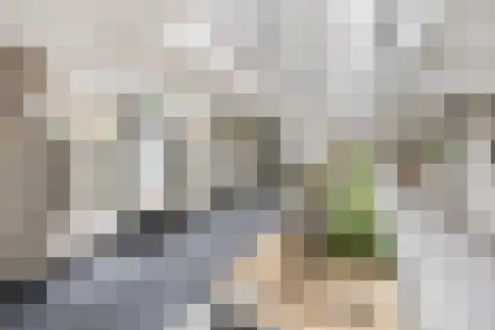 Rozenstraat 101 Barneveld thumbnail 12