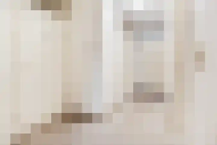 Rozenstraat 101 Barneveld thumbnail 21