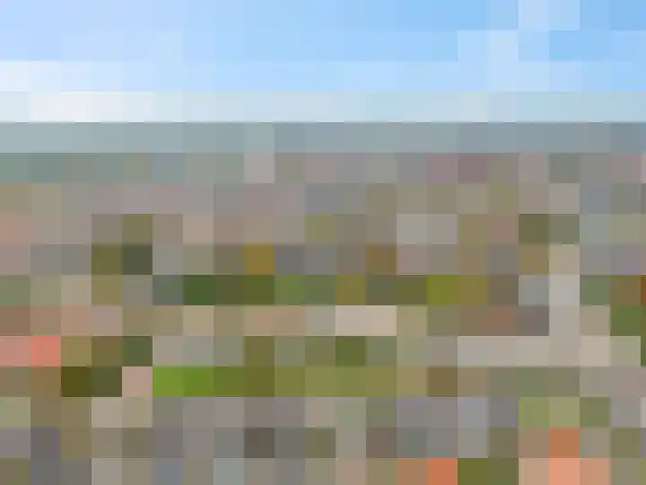 Rozenstraat 101 Barneveld thumbnail 44