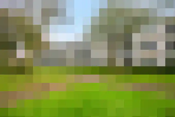 Rozenstraat 101 Barneveld thumbnail 6