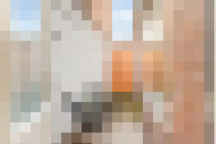 Rozenstraat 138 Hilversum thumbnail 14