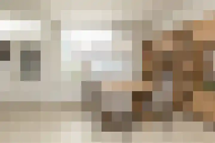Rozenstraat 14 Sneek thumbnail 6