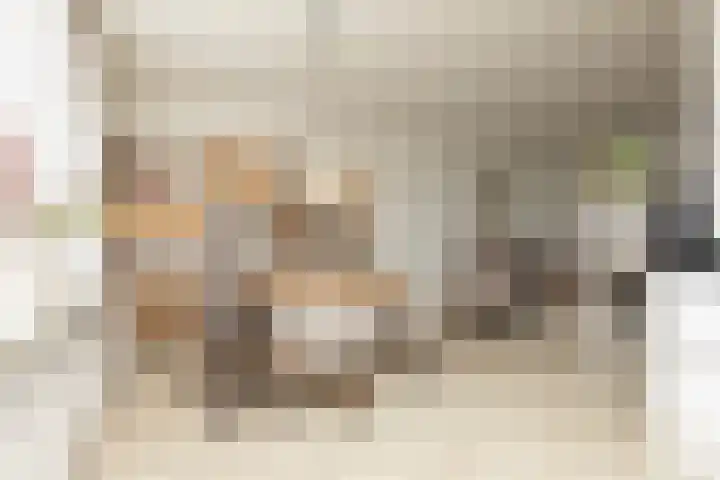 Rozenstraat 14 Sneek thumbnail 7