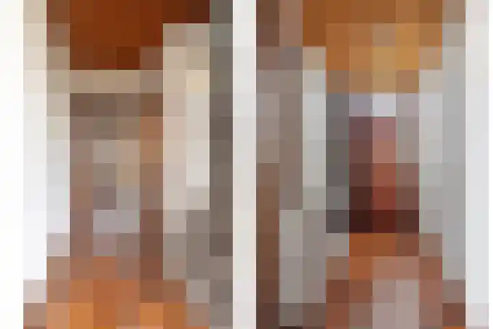 Rozenstraat 15 Budel thumbnail 10