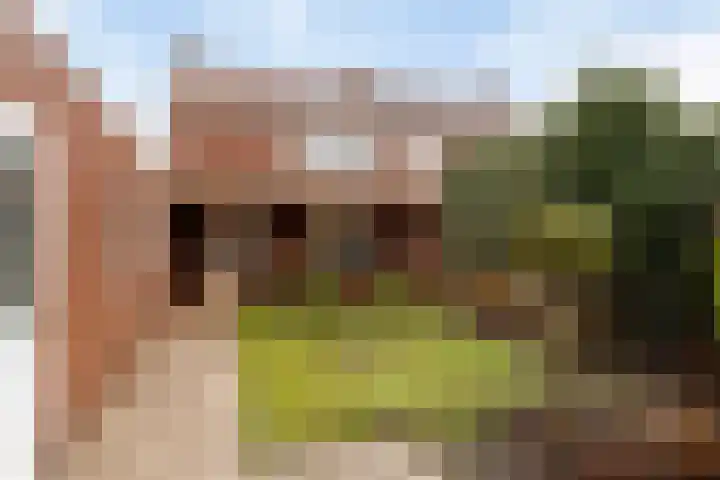 Rozenstraat 15 Budel thumbnail 21