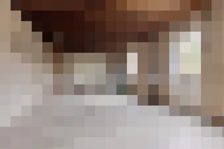 Rozenstraat 15 Budel thumbnail 25