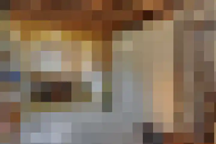 Rozenstraat 15 Heesch thumbnail 22