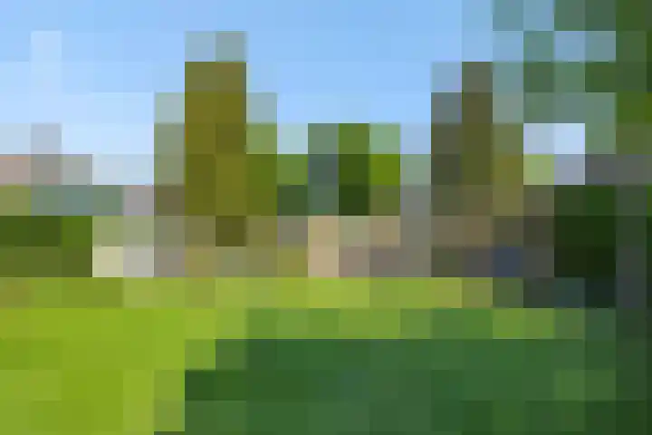 Rozenstraat 15 Heesch thumbnail 23