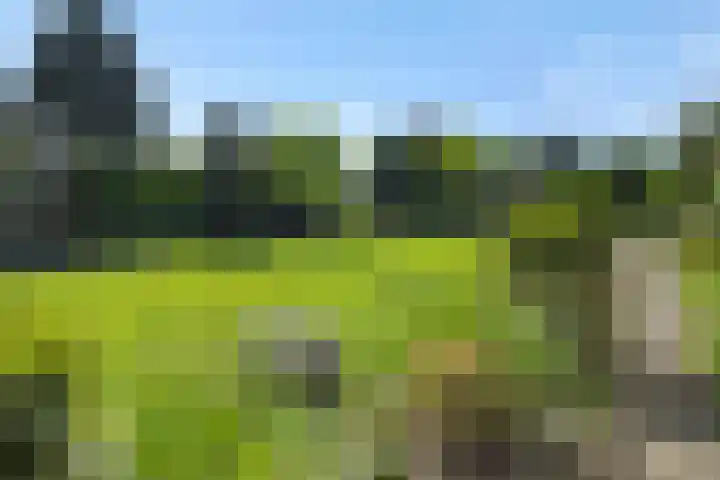 Rozenstraat 15 Heesch thumbnail 26