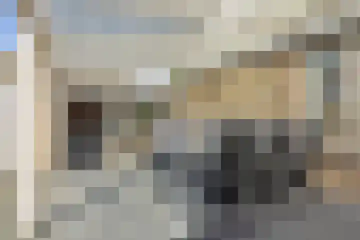 Rozenstraat 15 Heesch thumbnail 30