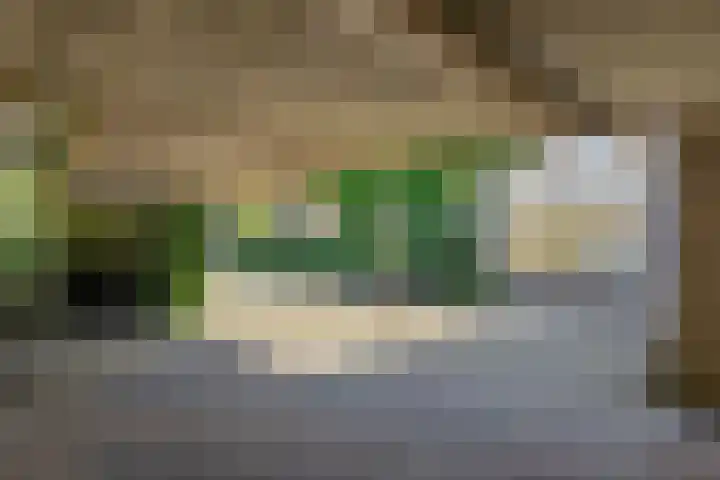 Rozenstraat 15 Heesch thumbnail 32
