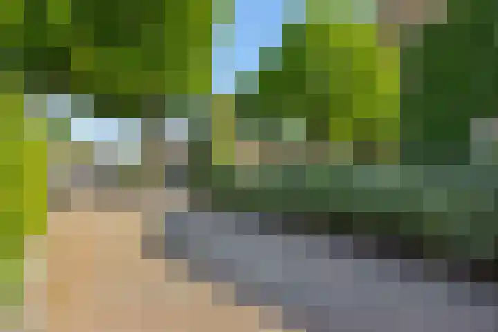 Rozenstraat 15 Heesch thumbnail 33